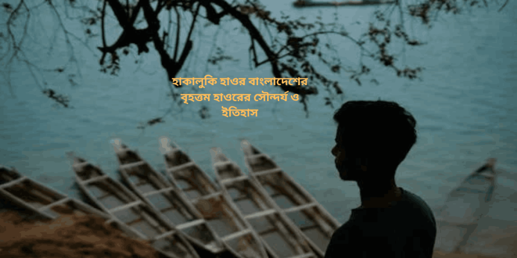 হাকালুকি হাওর বাংলাদেশের বৃহত্তম হাওরের সৌন্দর্য ও ইতিহাস