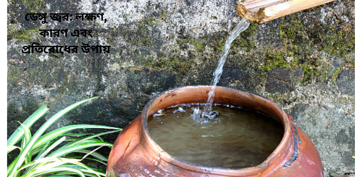 ডেঙ্গু জ্বর: লক্ষণ, কারণ এবং প্রতিরোধের উপায়