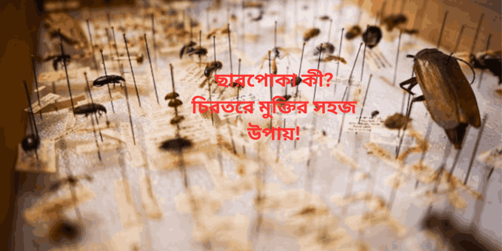 ছারপোকা কী? চিরতরে মুক্তির সহজ উপায়